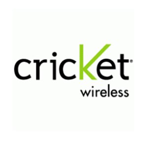 cricket.jpg